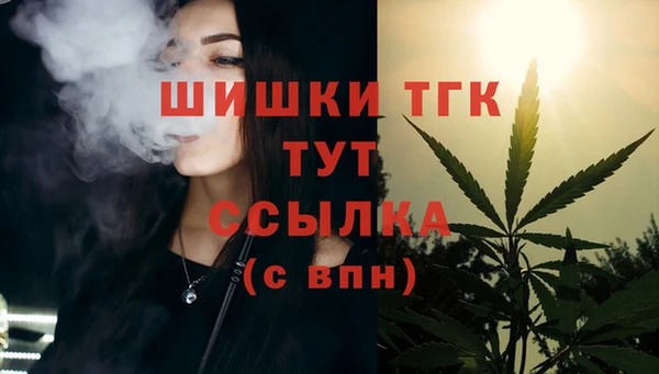 молекула духа Бородино