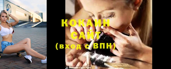 молекула духа Бородино