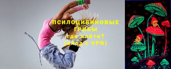 PSILOCYBIN Бронницы