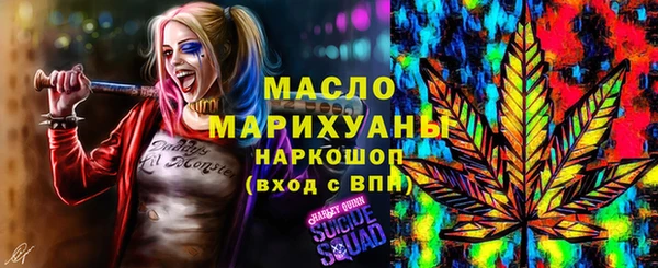 молекула духа Бородино