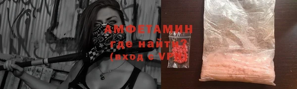 молекула духа Бородино
