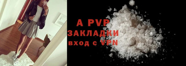 молекула духа Бородино