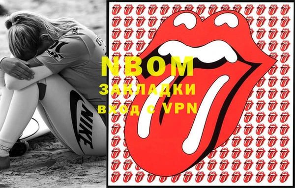 молекула духа Бородино