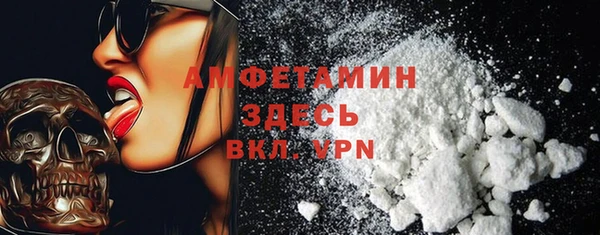 молекула духа Бородино