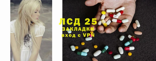 PSILOCYBIN Бронницы
