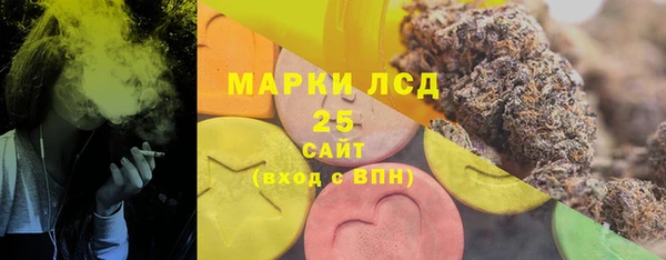 молекула духа Бородино